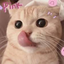 Andi Pratama profile picture